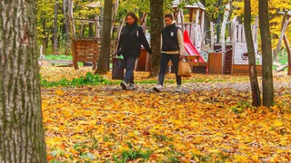 Гороскоп на 31 октября: Девы отпустят давние обиды, а Водолеи отважатся на смелые шаги