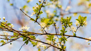 Практически летняя погода: синоптики дали неожиданный прогноз на конец марта