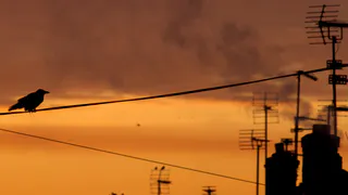 В Пензенской области управляющие компании обязали чистить дымоходы в домах