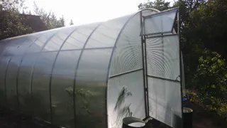 Под какие культуры ни за что нельзя вносить золу