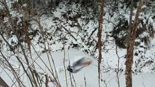 В Прилузском районе на обочине дороги обнаружено тело человека