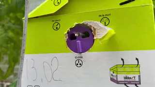 В тепличных комплексах Владимирской области были размещены феромонные ловушки