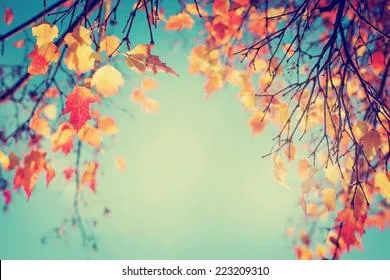 Приметы и запреты на 21 сентября: сжигаем старую обувь и одежду