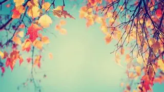 Приметы и запреты на 21 сентября: сжигаем старую обувь и одежду