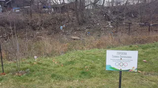 Аллея Олимпийской славы в Рязани превращается в свалку