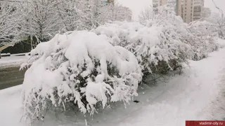 Во Владимирской области ожидается гололёд и налипание снега