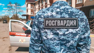 Силовики схватили агрессивных мужчин, угрожавших жительницам Коми