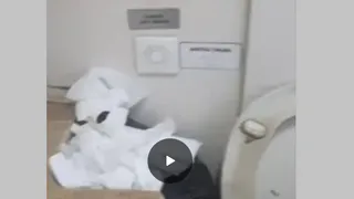 Пассажирка экспресса Рязань – Москва пожаловалась на антисанитарию в поезде