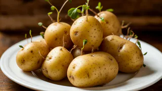 Можно ли есть проросший картофель: диетолог рассказала, в каком случае он становится ядовитым