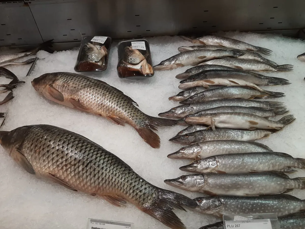 Как выбрать свежую рыбу?