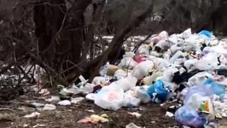Не сдержали обещание: стихийную свалку на 2-й Механизаторов так и не убрали