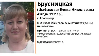 В регионе ищут пропавшую 43-летнюю женщину из Владимира