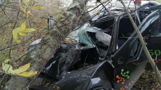 Смертельное ДТП  под Рязанью: водитель такси улетел в кювет и врезался в дерево