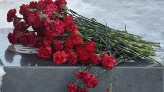 В Брянской области повысили размер пособия родителям и вдовам погибших военных