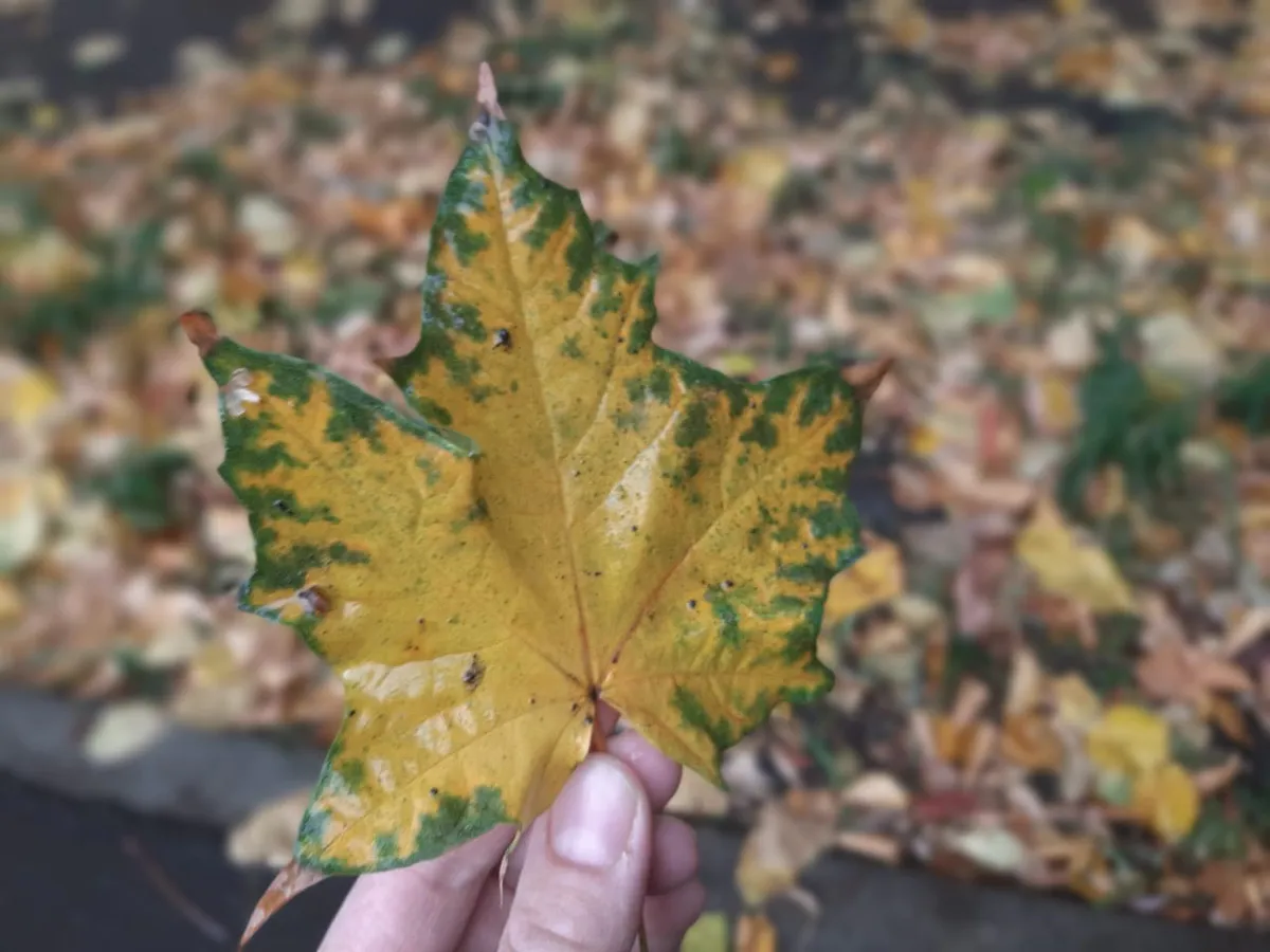 Завтра в Татарстане ожидается очень сильный ветер со скоростью 15-20 м/с, порывами до 25-28 м/с