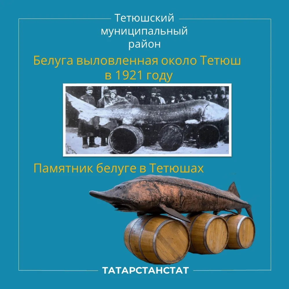Полезно знать: единственный памятник в Европе, посвященный знаменитому улову, установлен в Тетюшах