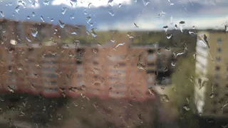 Будет дождь: погода в Рязани на пятницу