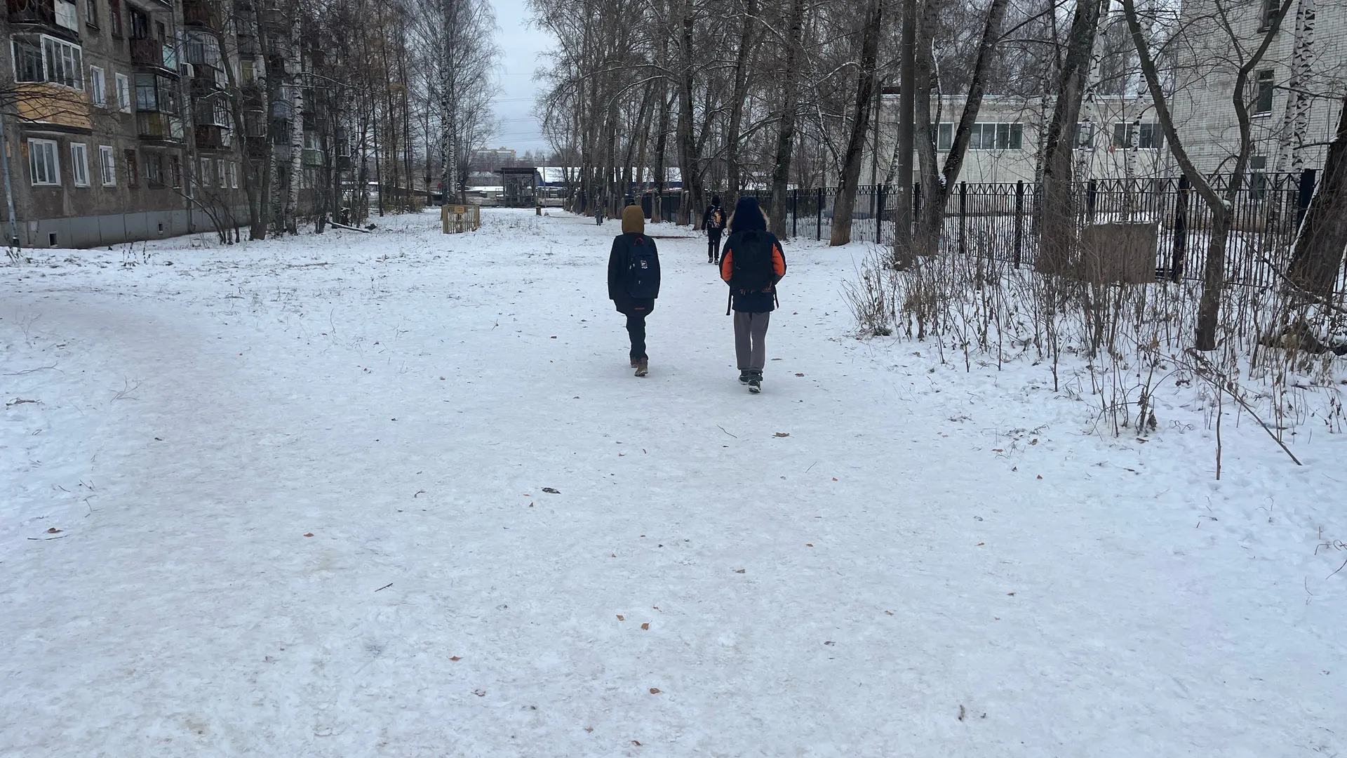 Когда в Татарстане отменяют школьные занятия из‑за морозов: разъяснения Минобрнауки РТ