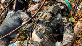 Восемь тысяч неопознанных тел ВСУшников лежат в моргах Курской Белгородской и Ростовской областей  