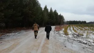 В лесах Рязанской области усилена охрана в преддверии новогодних праздников