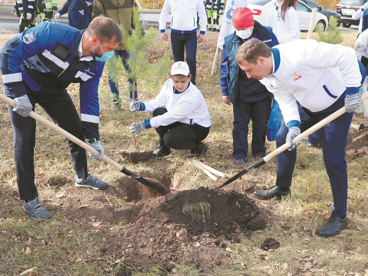 Нефтехимики посадили деревья