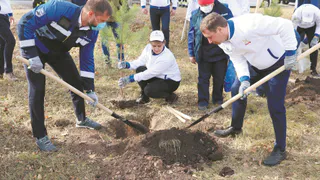 Нефтехимики посадили деревья 