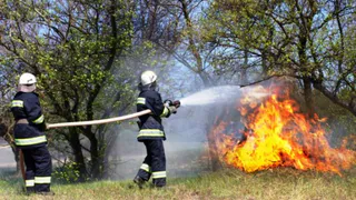 В Жуковском районе горит лес
