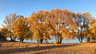 О погоде в Рязани: в среду похолодает до +13 градусов
