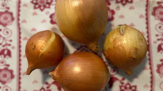 Не лук, а гигант: бросьте семена в грунт и он сам всё сделает — не портится круглый год