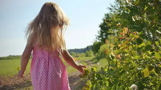 В понедельник в Рязани будет + 26 градусов