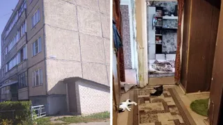 В Юрьев-Польском районе будут судить мужчину за смерть 5 человек от отравления пестицидами