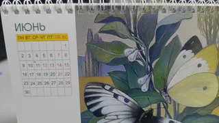 Все, у кого цифры 3, 7, 2, 9 есть в дате рождения – вот, что будет вас ждать в июне