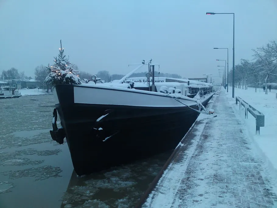 Уникальный способ утилизации рождественских елок: Опыт Финляндии и интерес Канады