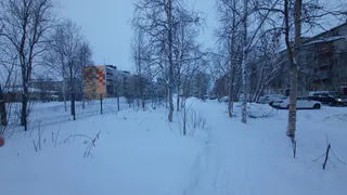 Погода в Усинске 21 января: морозная зима вступает в свои права