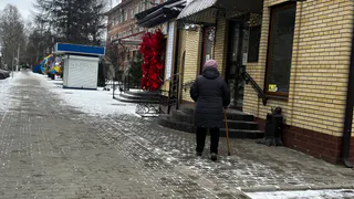 Все, кто работал до 2002 года, могут автоматом получить «Ветерана труда»: но есть несколько важных условий — обратите внимание