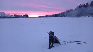 Первый зимний месяц войдёт в историю: «В декабре придёт то, чего не было с 1881 года». Озвучен новый прогноз
