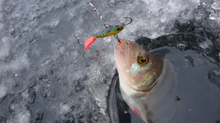 Рыбалка по-зимнему