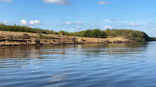 Реки Коми столкнулись с серьезным загрязнением