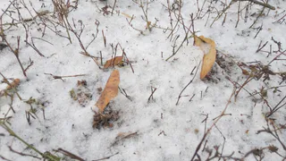 Зимняя ночь: в Рязани резко похолодает