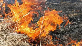 Во Владимирской области участились жалобы на несанкционированное сжигание отходов