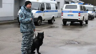 Служебные собаки раскрыли секреты профессии перед школьниками Сыктывкара