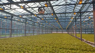 Чувашия укрепила позиции в числе цифровых лидеров агросектора