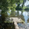 Из реки Судогда извлекли тело утопленника