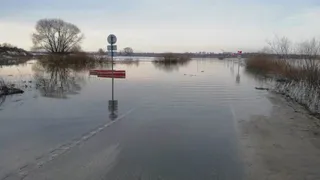 Дорог нет: к двум селам под Рязанью пустили катера