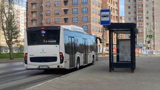 Сыктывкарский педагог на остановке подверглась оскорблениям от родителя ученика