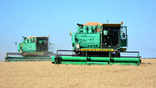 В Кораблинском районе перемололи 100 тыс. тонн зерна