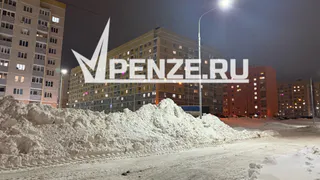 За работу в снегопады пензенских дворников отблагодарят рублем