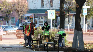 Удачный пример: Сорокина довольна благоустройством сквера на Трудовой