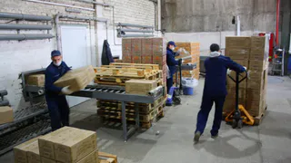 В региональном Минсельхозе подтвердили, что новости о закрытии "Доширака" в Рязани - фейк