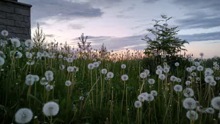 Синоптики в Чувашской Республике не прогнозируют резких изменений погодных условий